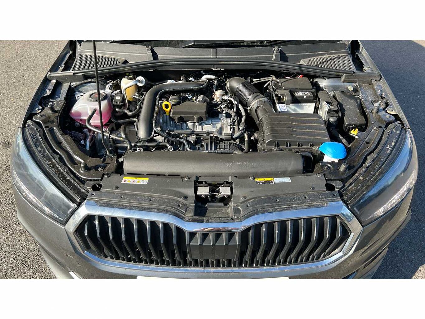 SKODA FABIA 1.0 TSI 116 Colour Edition 5dr DSG
